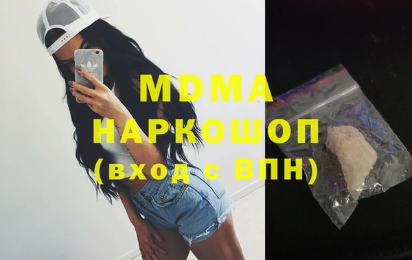хмурый Аркадак