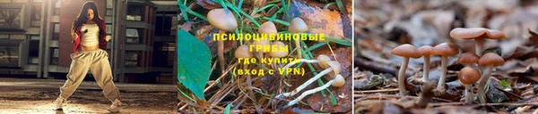 гашишное масло Арсеньев