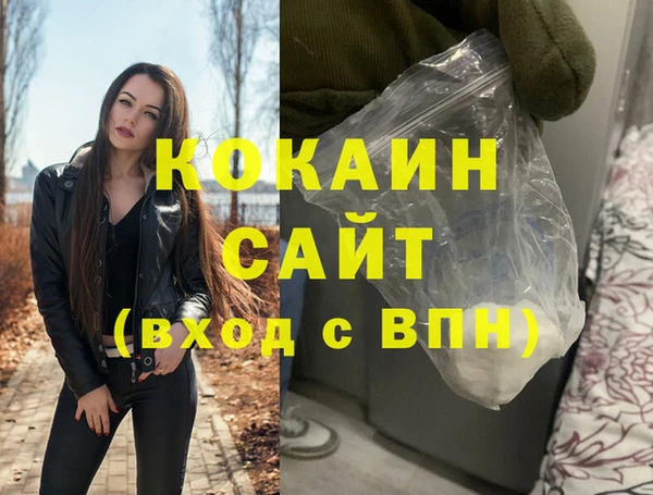 хмурый Аркадак