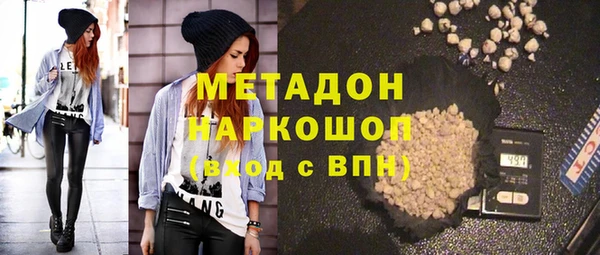 хмурый Аркадак