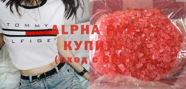 хмурый Аркадак