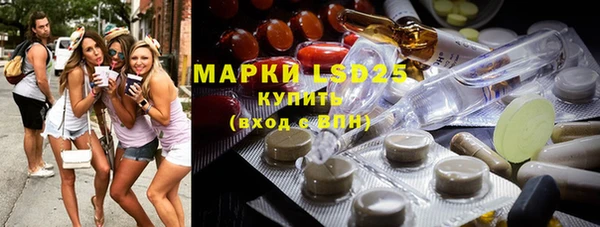 хмурый Аркадак