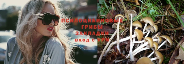 твердый Покачи