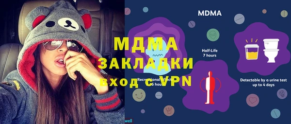 хмурый Аркадак