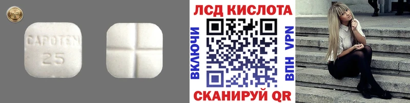 ЛСД экстази ecstasy  mega ссылки  Злынка  магазин продажи  