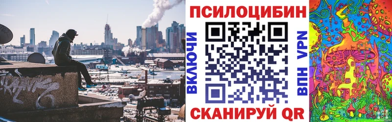 Псилоцибиновые грибы Psilocybine cubensis  omg сайт  Злынка 